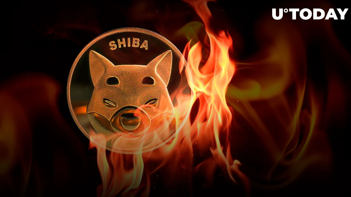 بیش از نیم میلیارد SHIB در هفته گذشته با بازگشت شیبا اینو به رادار نهنگ ها سوزانده شد
